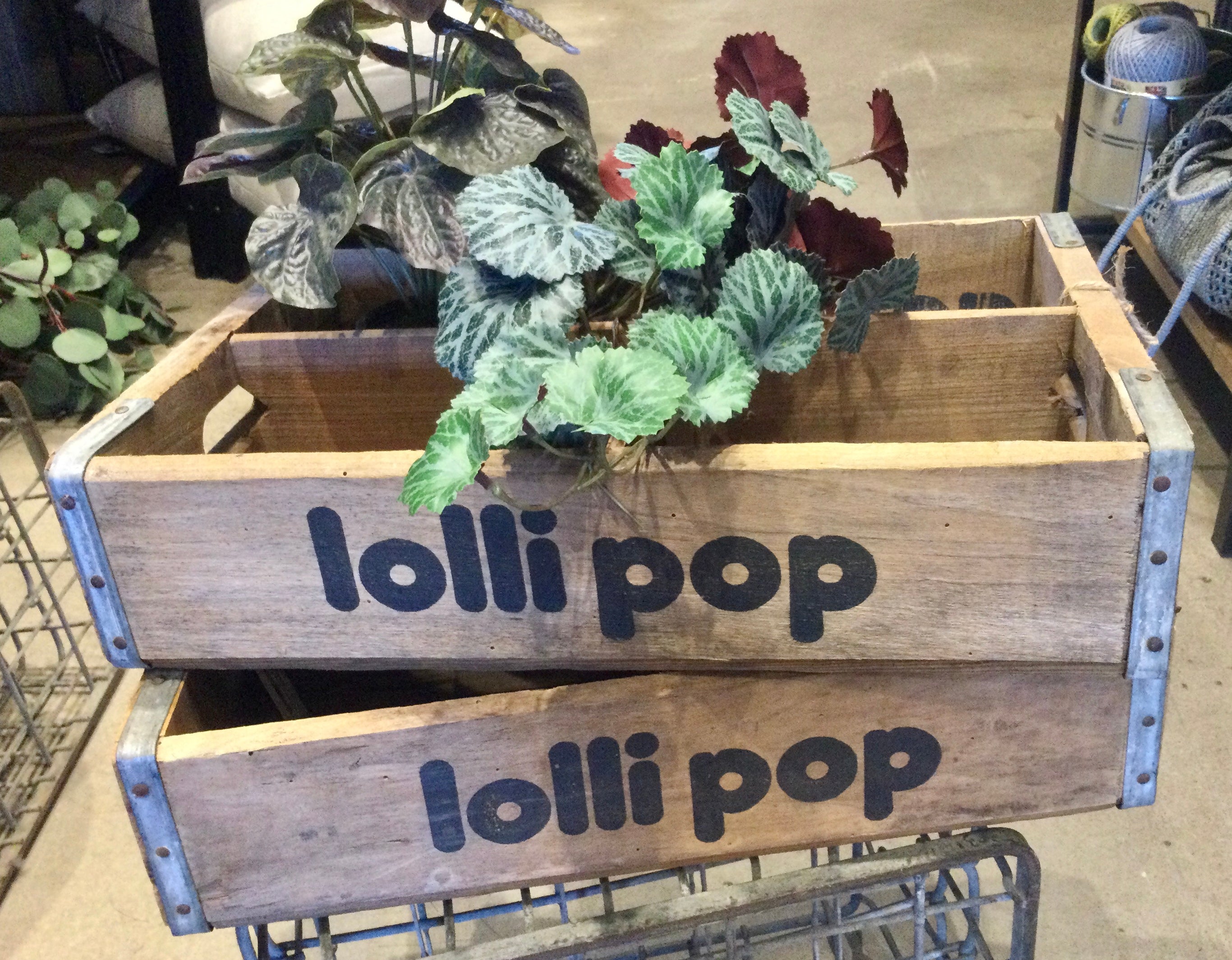 Lollipop Vintage Crate