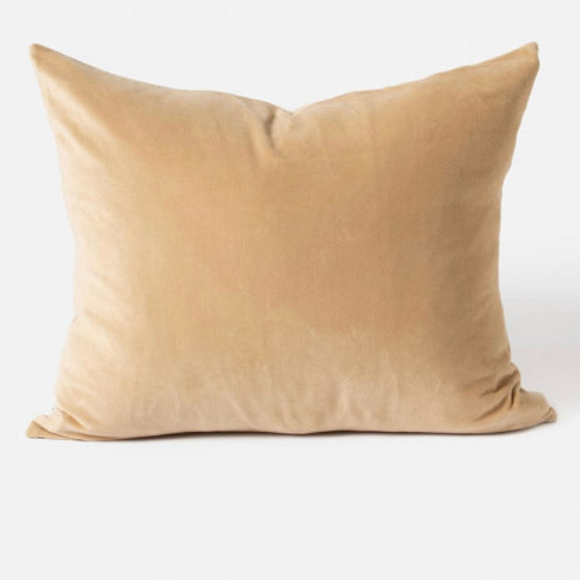 Velvet Cushion 55x45cm