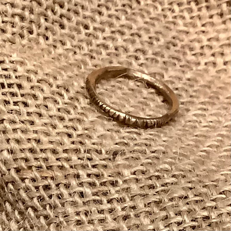 Pesci Fedina Barre Ring