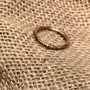Pesci Fedina Barre Ring