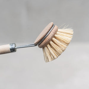 Dish Brush 50mm