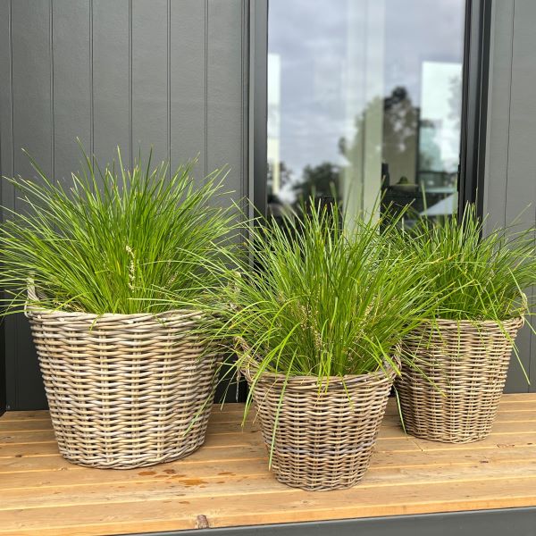 Kubu Wide Basket