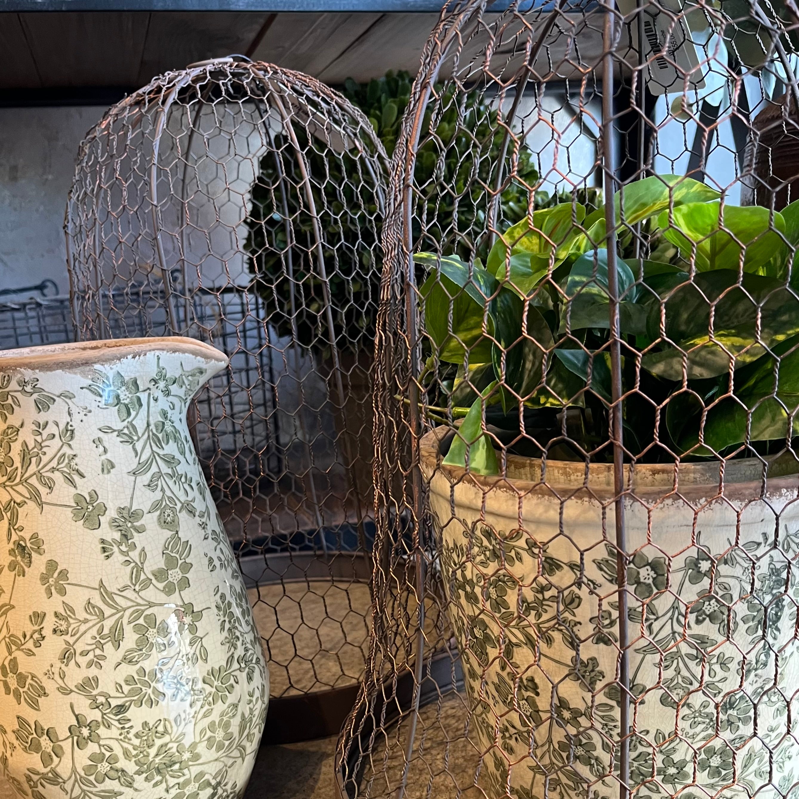 Wire Cloche Round