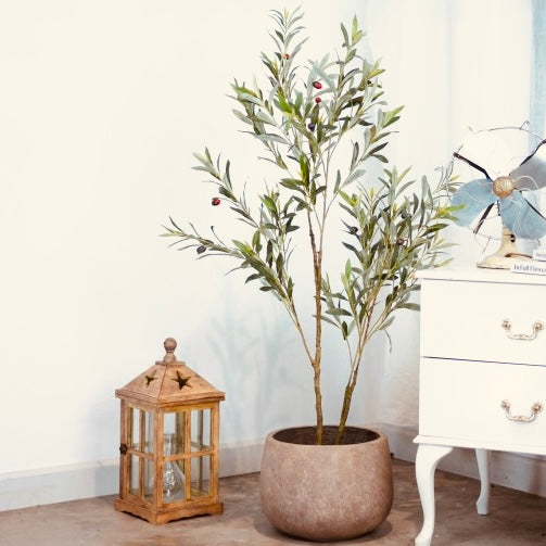 Olive Tree 122cm