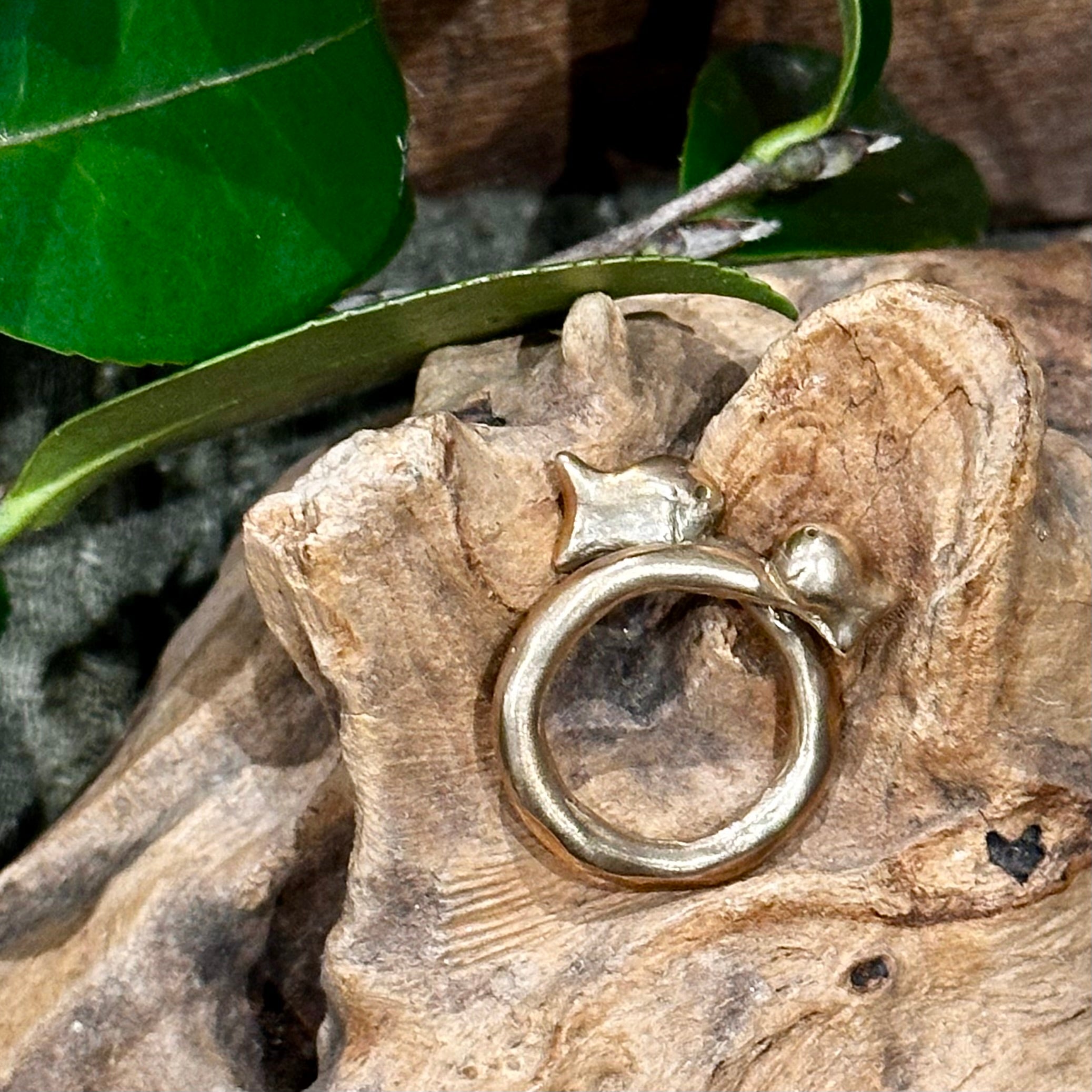 Pesci Nemo Ring