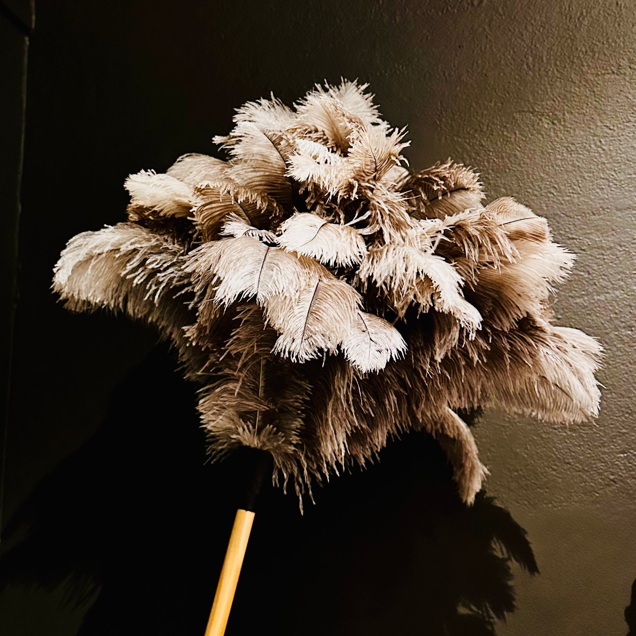 Feather Duster