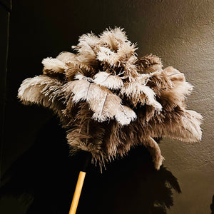 Feather Duster