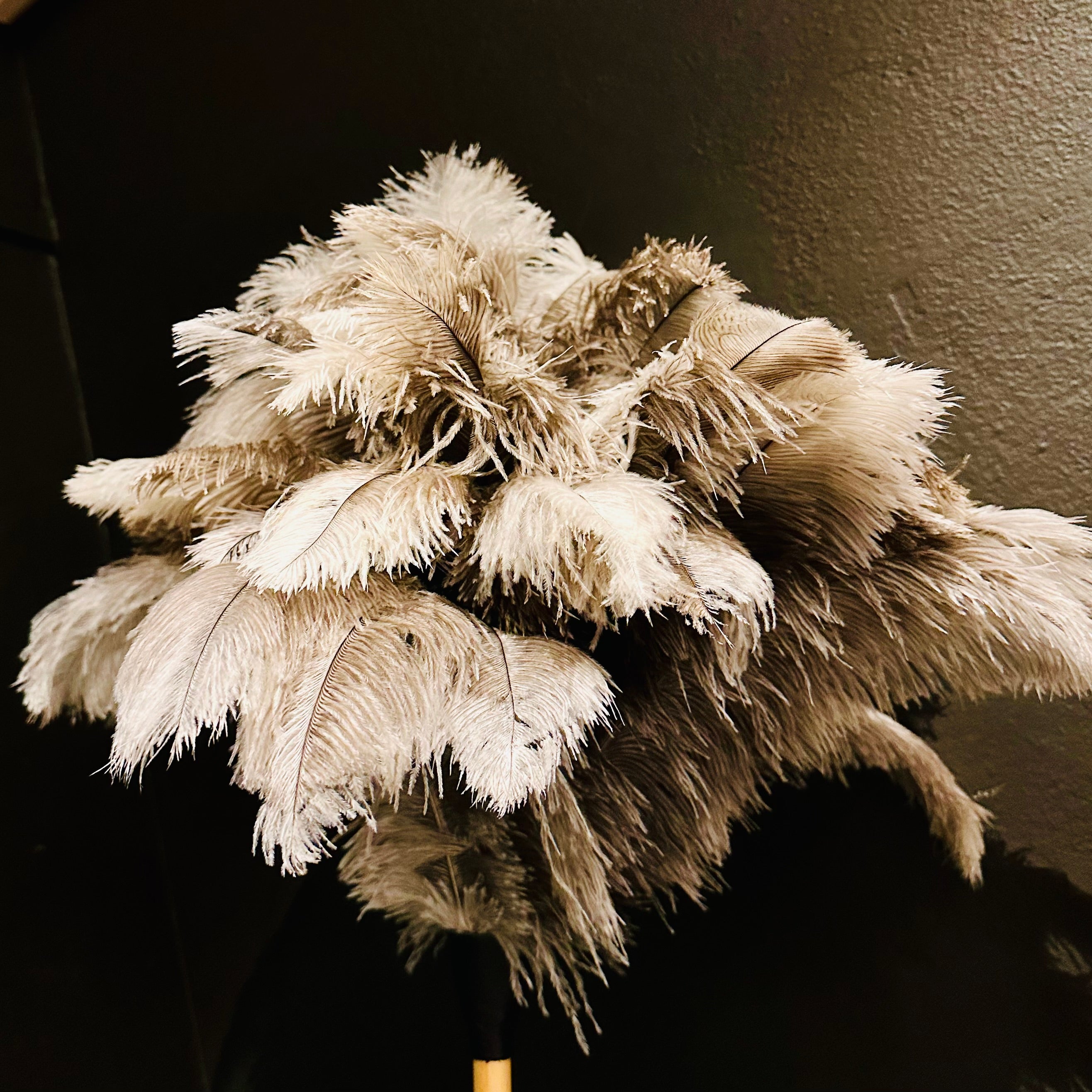 Feather Duster