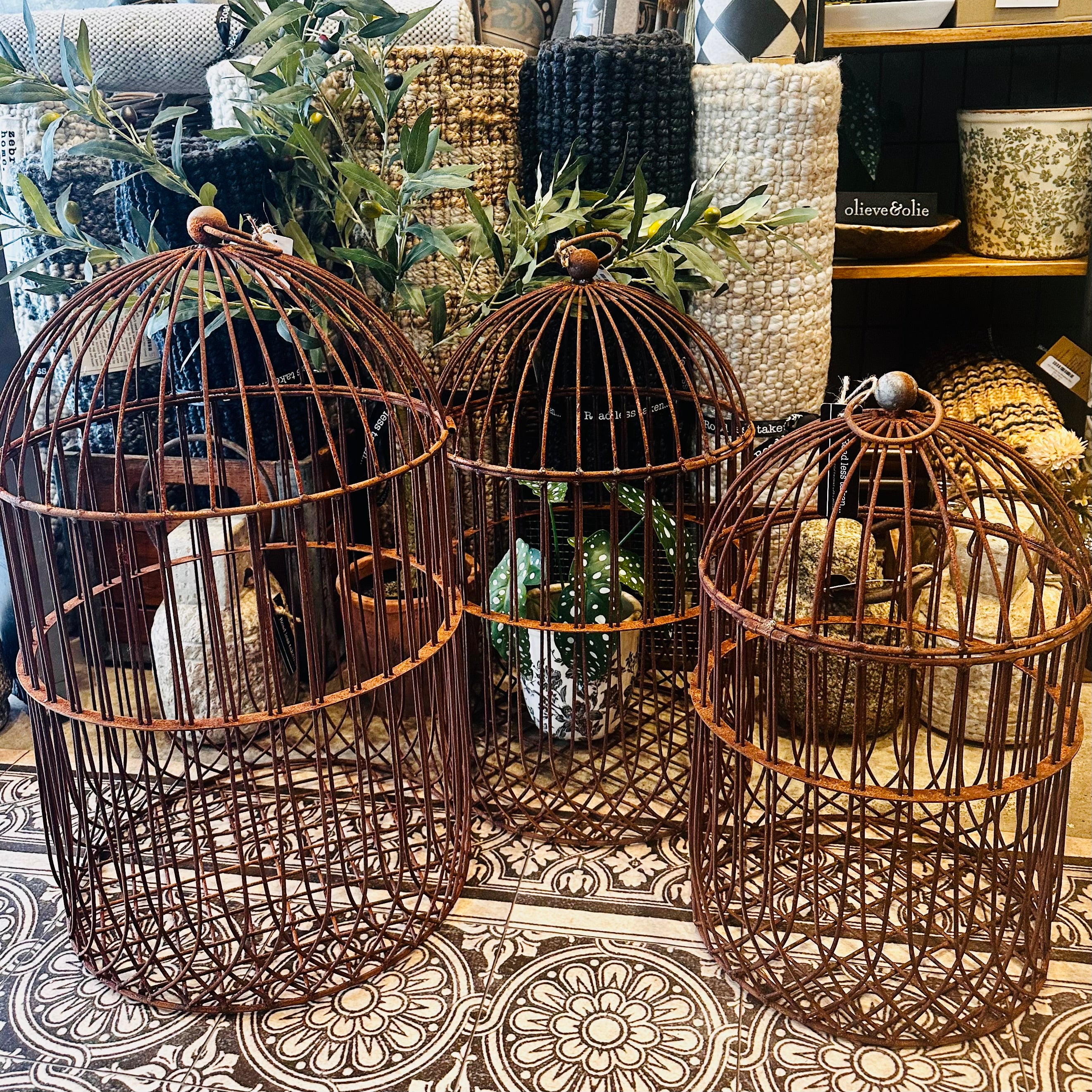 Rusty Birdcage