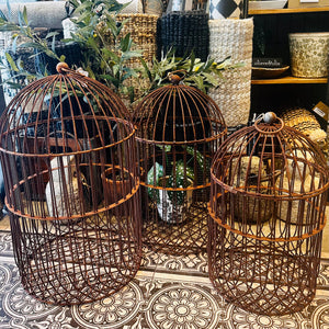 Rusty Birdcage