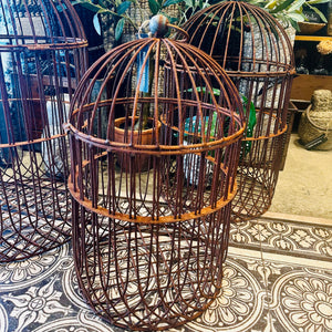 Rusty Birdcage