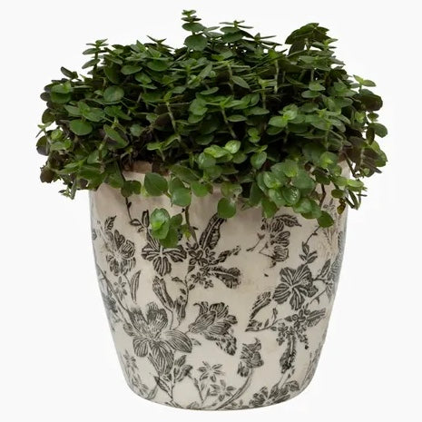 Planter- Black Floral