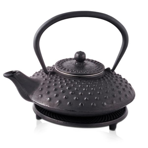 Iron Teapot Fuyu