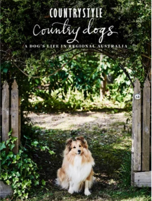 Country Dogs